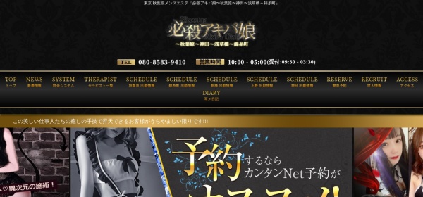 必殺アキバ娘 新宿ルーム