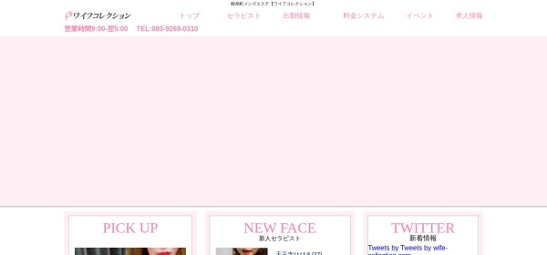 ワイフコレクション