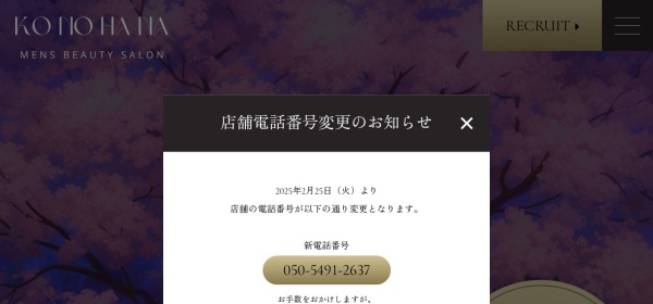 KONOHANA〜木の花〜